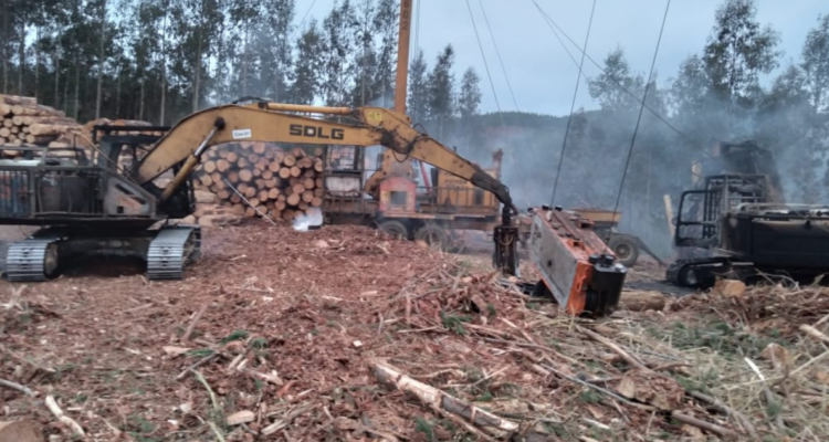 Ataque incendiario en Toltén.