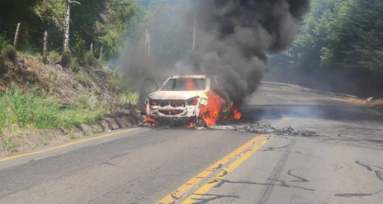 Ataque incendiario en ruta Internacional
