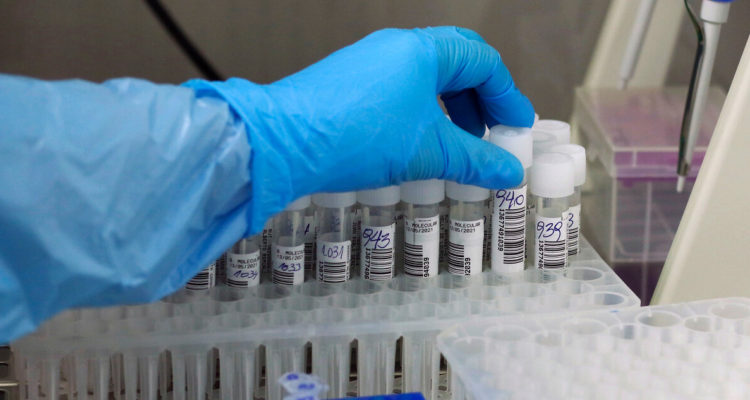 Minsal confirma 12 casos de variante Ómicron en Chile