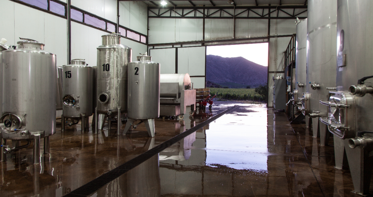 Máquinas productoras de vinos en Besoain Wines