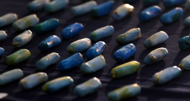 Extranjeros con ovoides fueron detenidos en Valparaíso