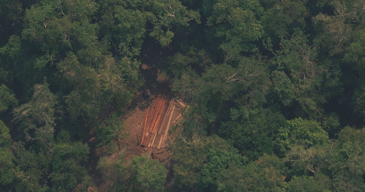 Fotografía de deforestación en Amazonía
