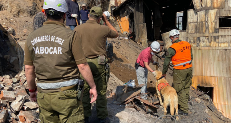 Personal policial en procedimiento