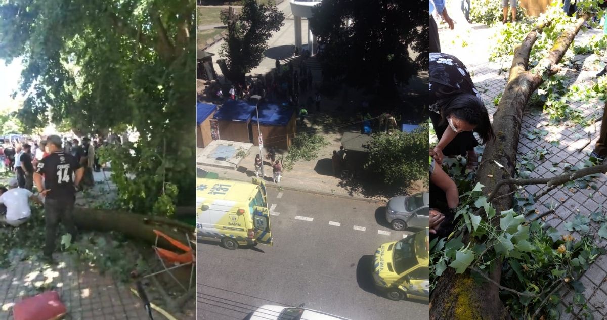 Caída de rama en Osorno deja tres personas lesionadas