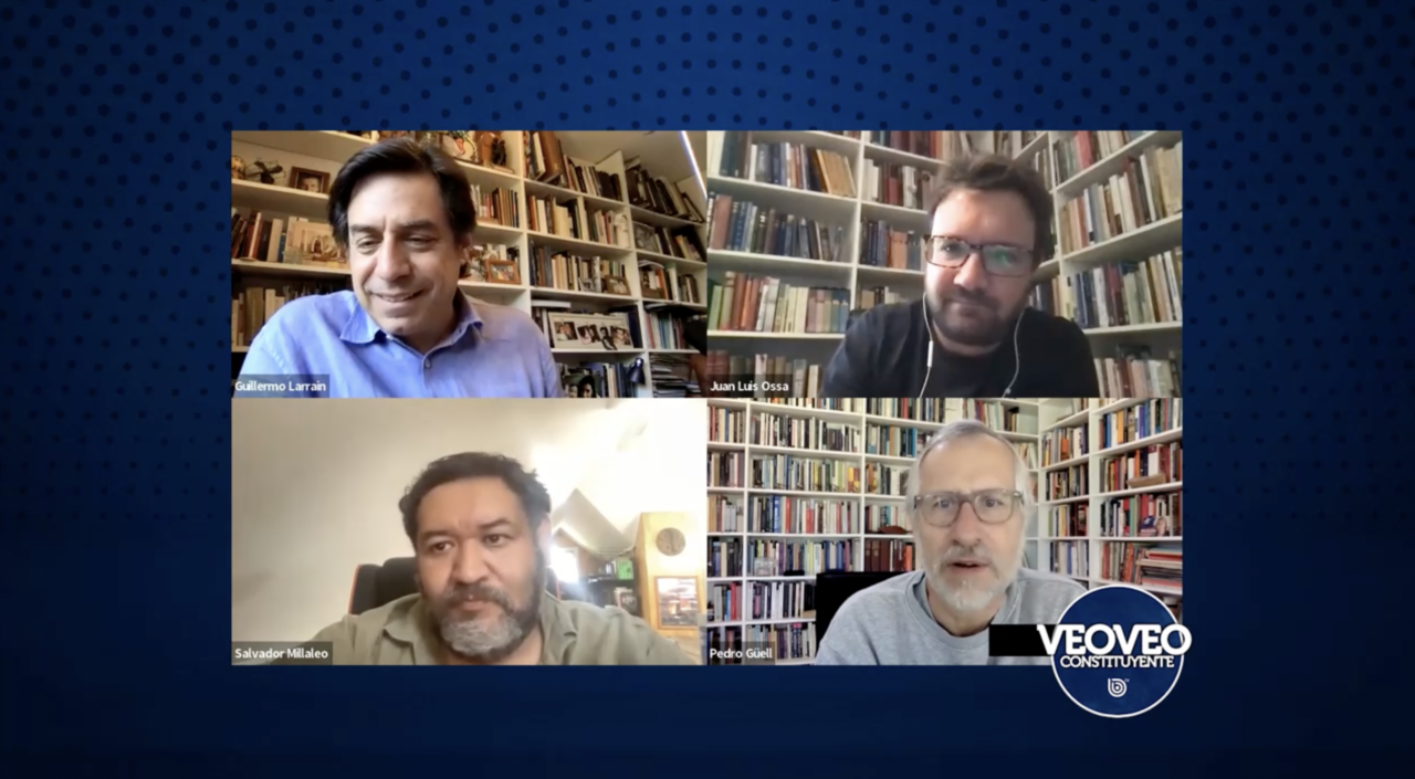 VeoVeo Constituyente: Plurinacionalidad
