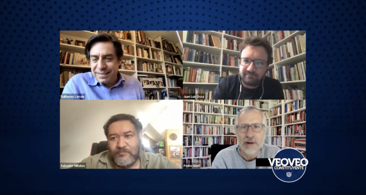 VeoVeo Constituyente: Plurinacionalidad