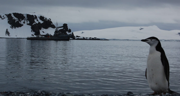 Gobierno informará plataforma continental de territorio Antártico en la ONU
