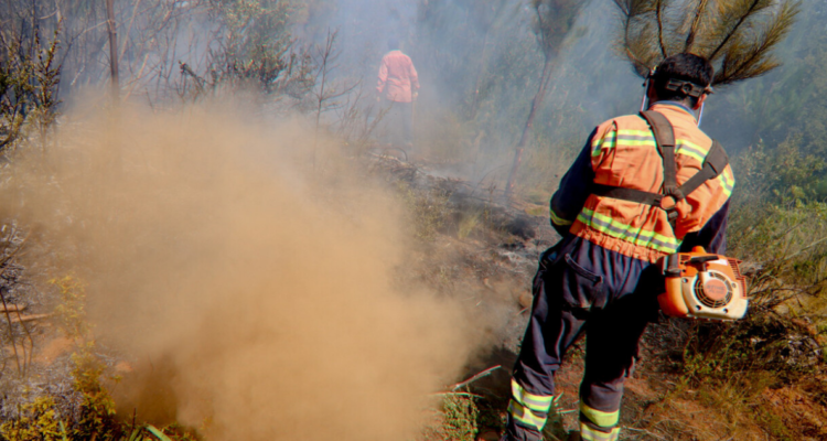 Combate de incendio