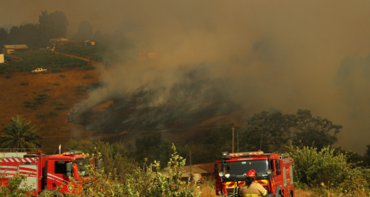 Incendio forestal