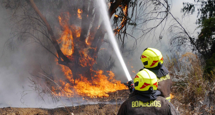 Combate de incendio forestal por parte de bomberos