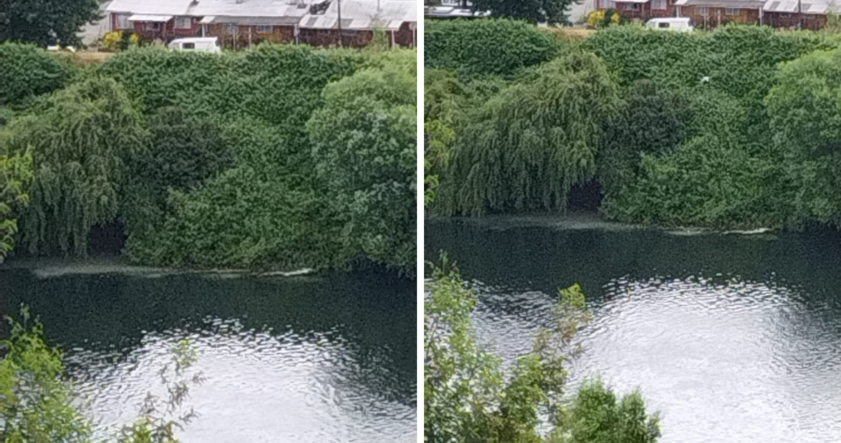 Vertimiento de desechos registrado en río Rahue