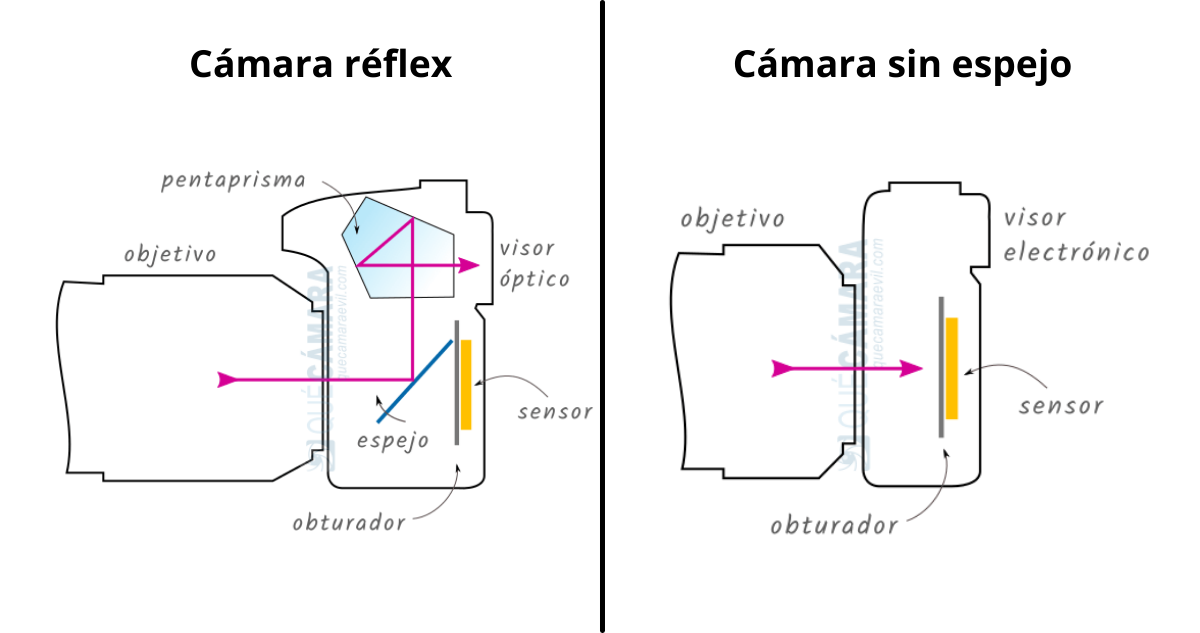 cámara réflex y cámara mirrorless