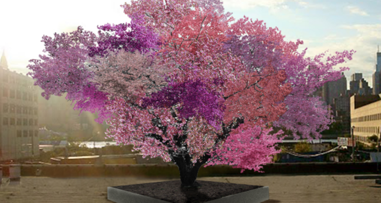 Frankenstein, árbol de 40 frutos