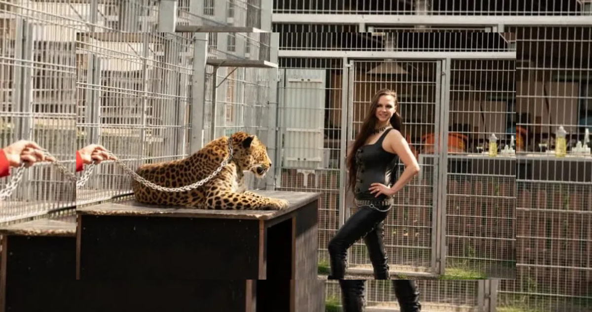 modelo posando antes del ataque del leopardo