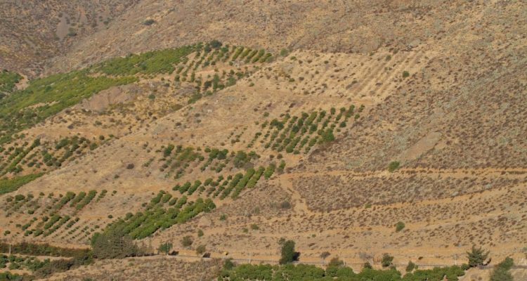 Crisis hídrica obliga a suspender clases en colegio de Petorca