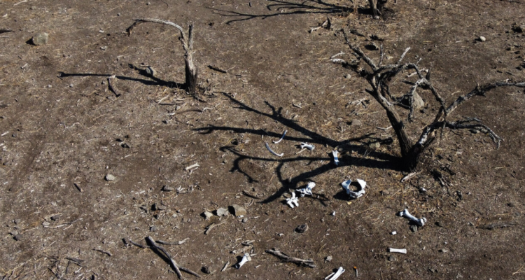 Vecinos de Cabildo aseguran que el agua no alcanza para todos y cada vez hay cortes de agua más extensos