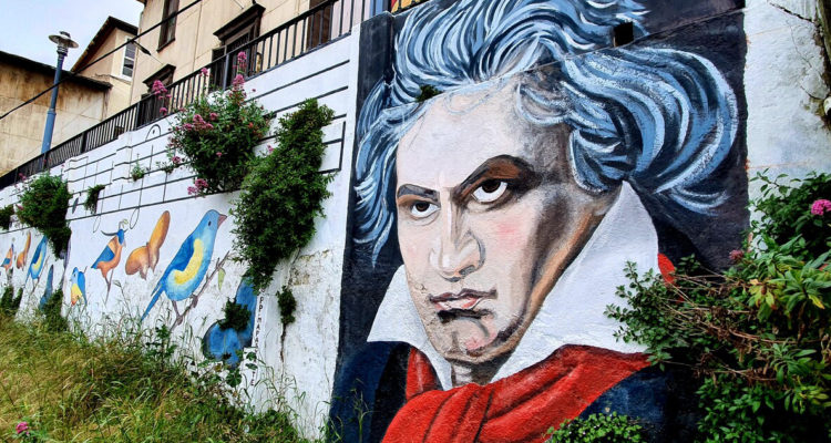 Hay que promover la cultura