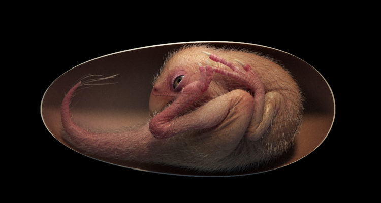 A través de computadora, una imagen de cómo se vería la criatura si estuviera viva. Se puede ver al dinosaurio encorvado y con su cabeza entre sus patas.