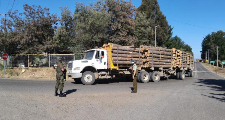 Detienen a conductor de camión con madera robada desde predio forestal en Collipulli