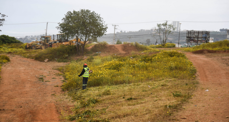 Cortafuegos en región de Valparaíso