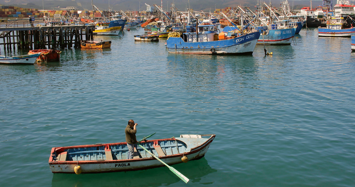 Pescadores del Bío Bío