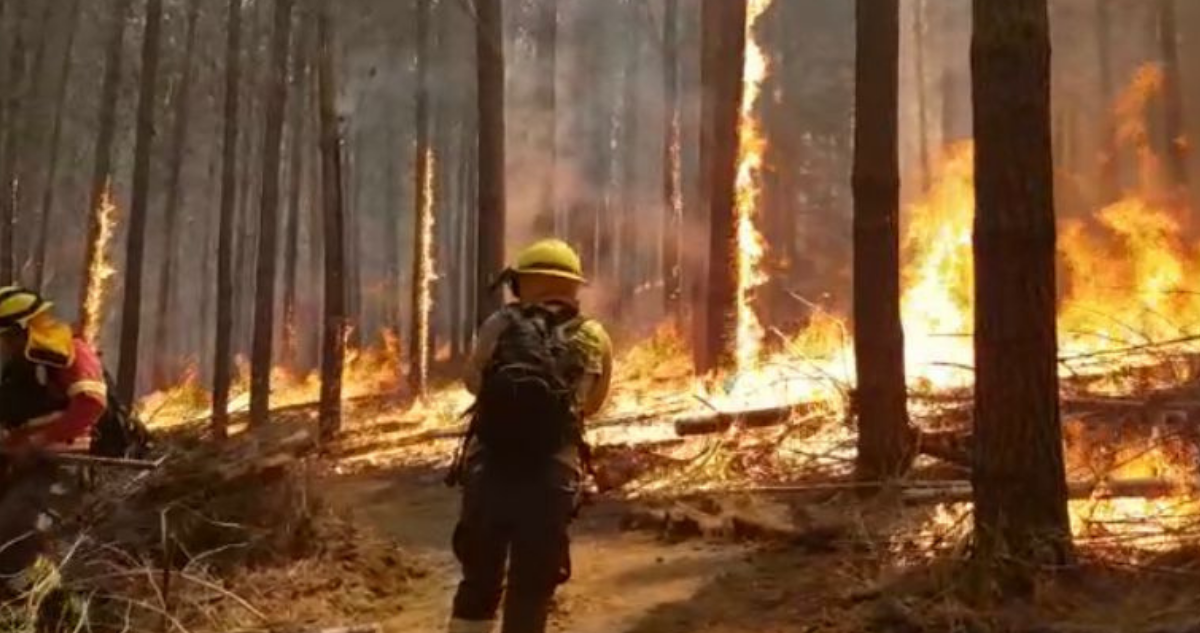 Temido tridente que propició incendio en La Araucanía