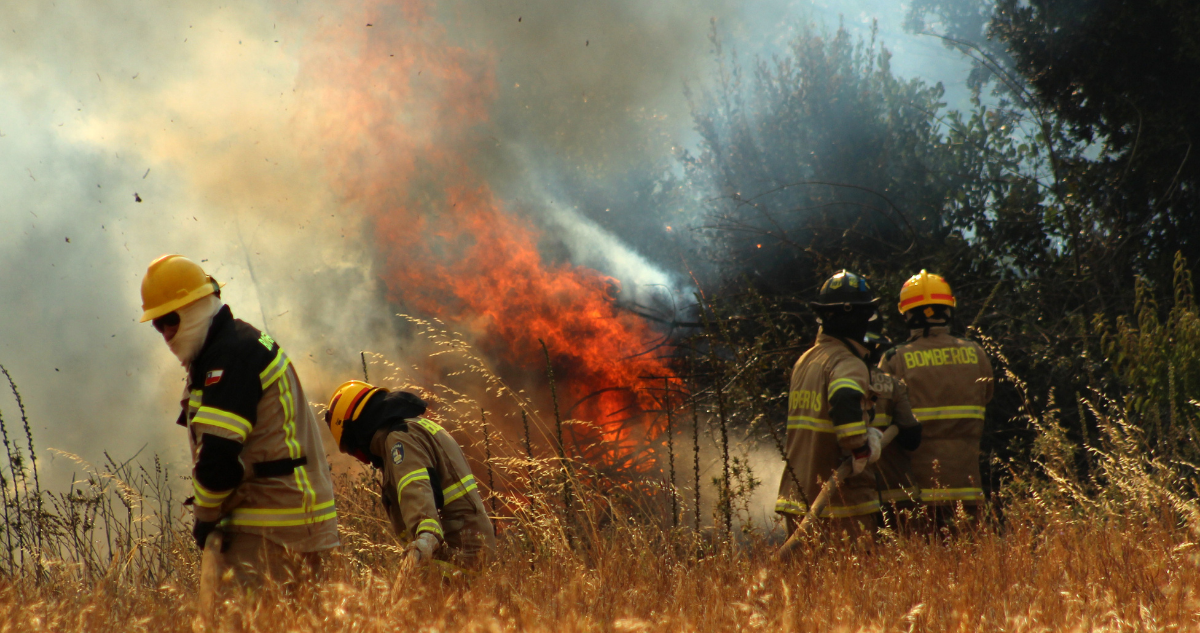 Decretan emergencia agrícola por Incendio forestal en Quillón