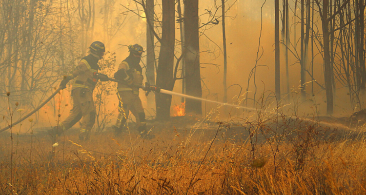 Decretan emergencia agrícola para Quillón por incendio forestal.