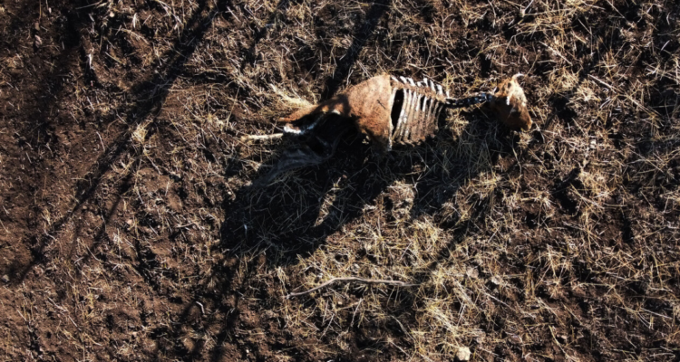 Entregan más de 2.5 toneladas de ayuda por emergencia en la región de Valparaíso.
