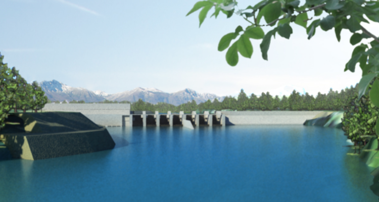 10 detenidos deja anifestación contra empresa Rucalhue en Bío Bío