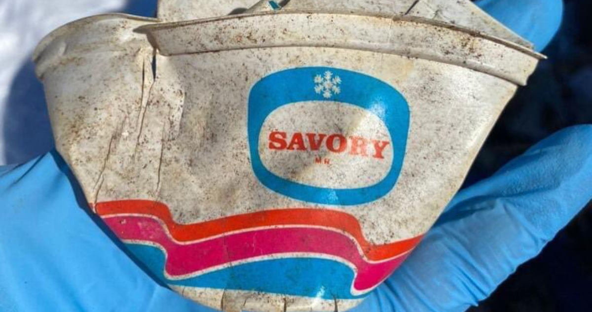 El envase de helado Savory