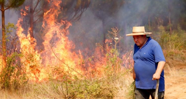 Evacuación preventiva por incendio forestal en Los Sauces y Angol