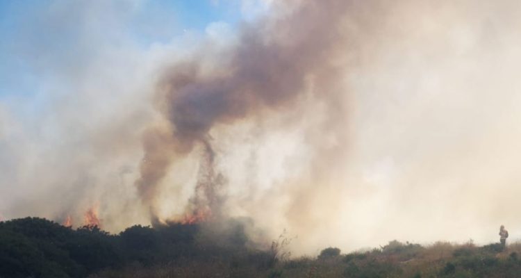 Incendio forestal en Puerto Montt: decretan evacuación preventiva