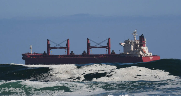 Exportaciones y medio ambiente