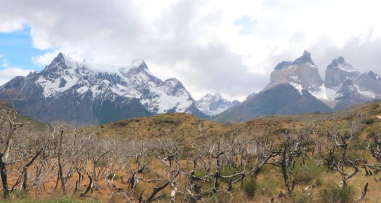 Foto del parque Torres del Paine