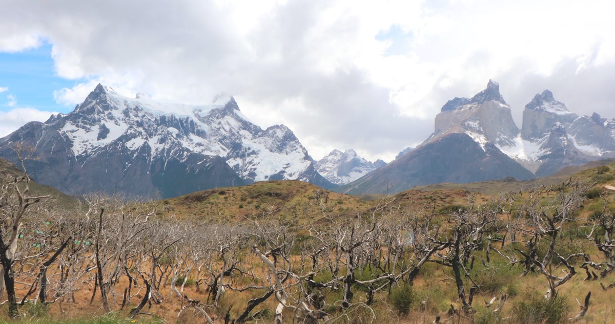 Foto del parque Torres del Paine