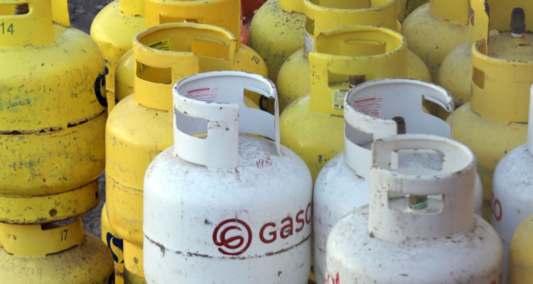 FNE presenta estudio preliminar del mercado del gas ante comisiones del Senado