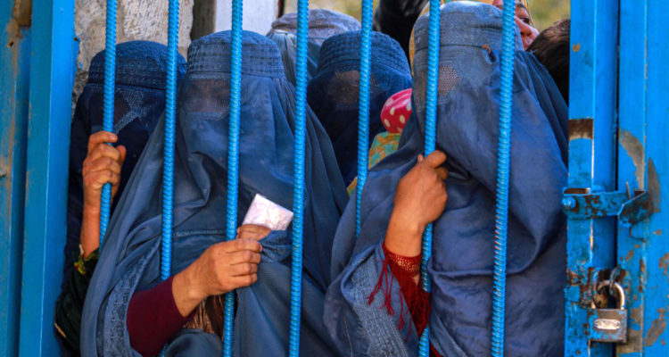 General de Alemania admite error en retirada de Afganistán Es vergonzoso cómo se trató a la gente