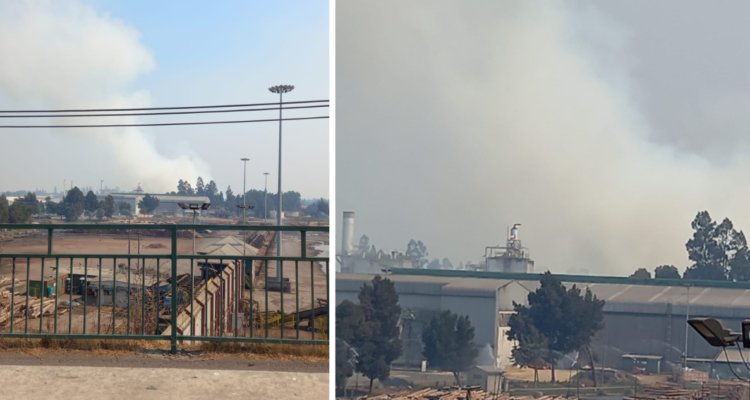 Incendio en Planta Masisa