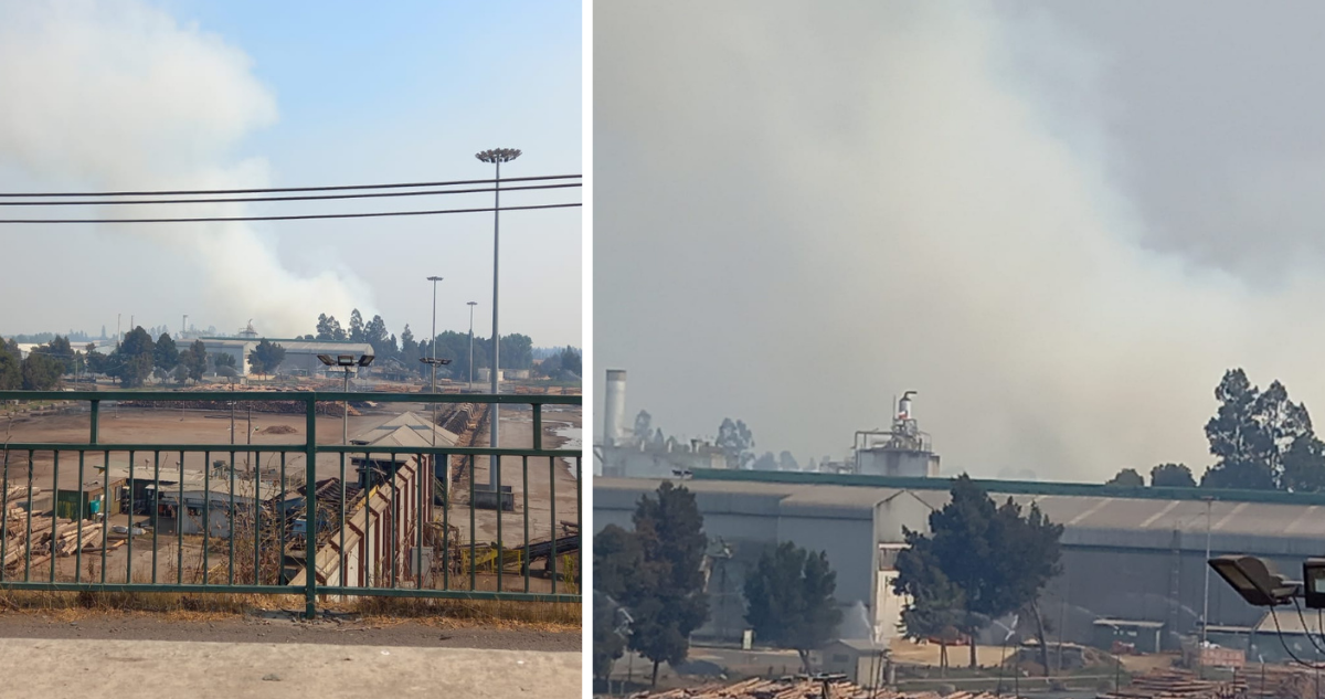 incendio-biomasa-pastizal-planta-masisa-cabrero.png