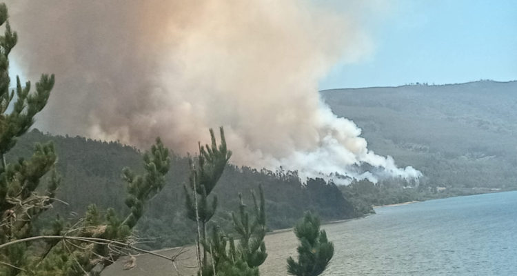 INCENDIO EN CONTULMO