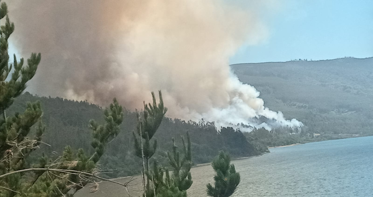 INCENDIO EN CONTULMO