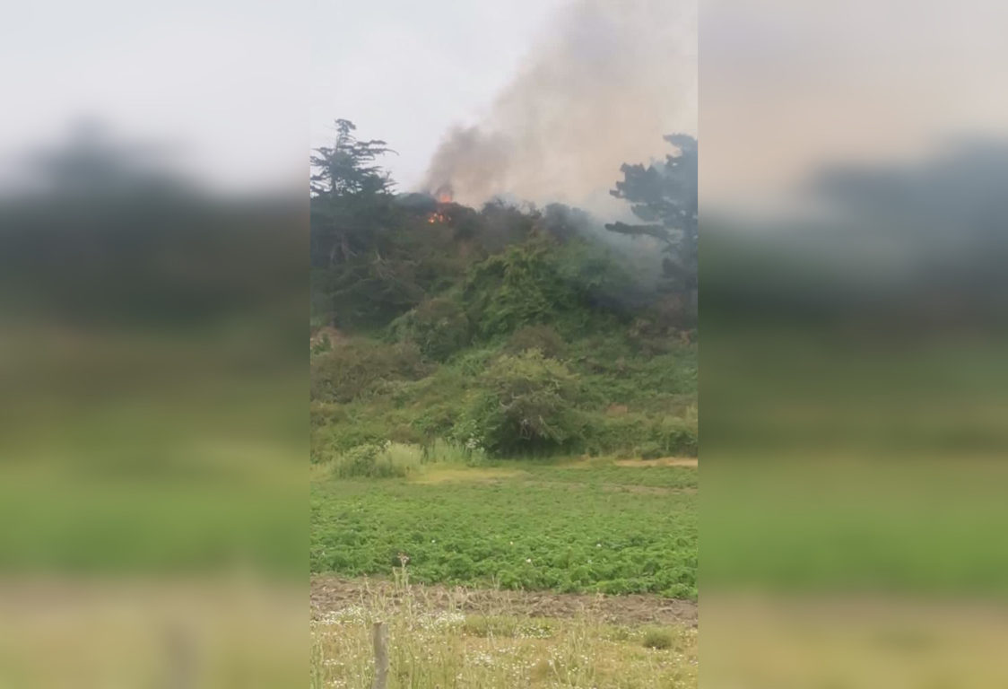 Incendio forestal en isla Santa María