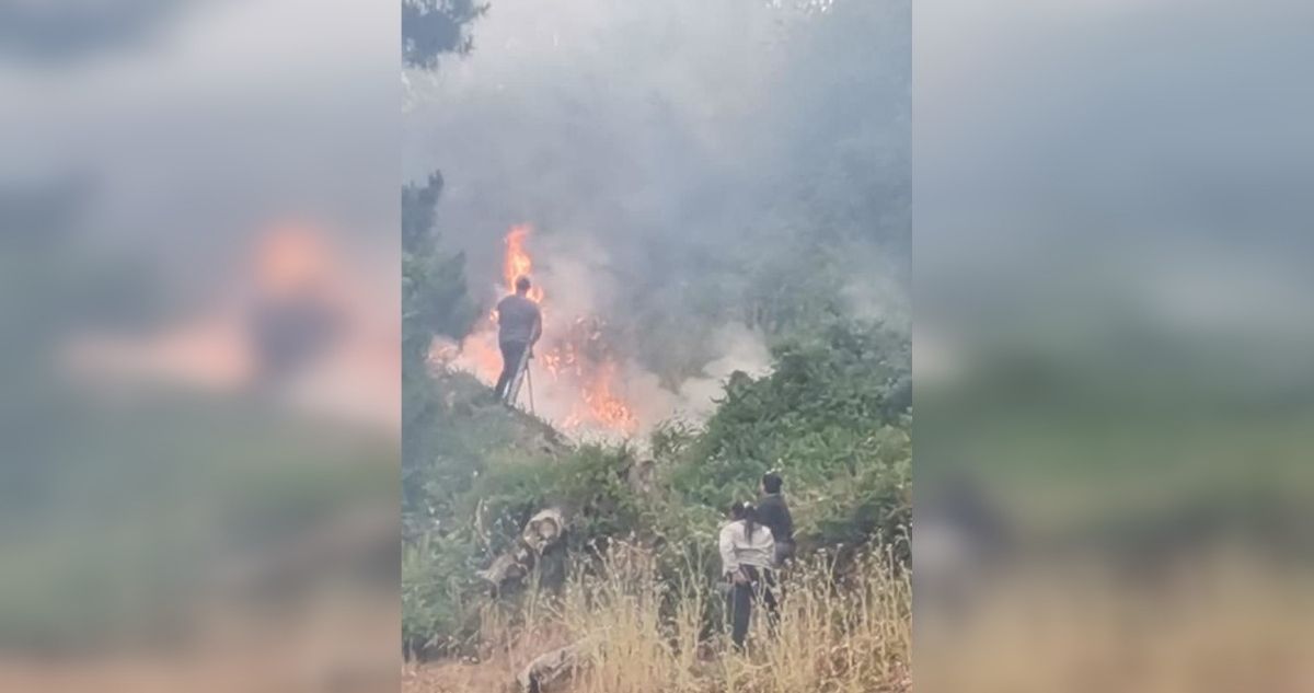 INCENDIO FORESTAL