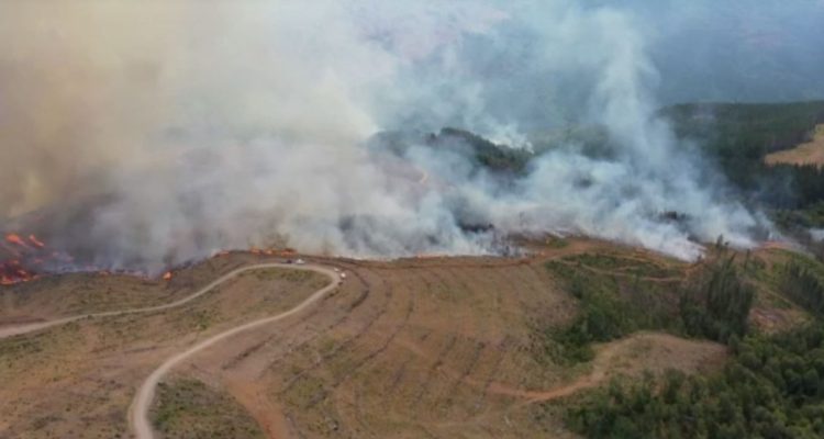 Incendio forestal en La Araucanía