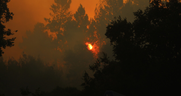 Incendio forestal Quillón.