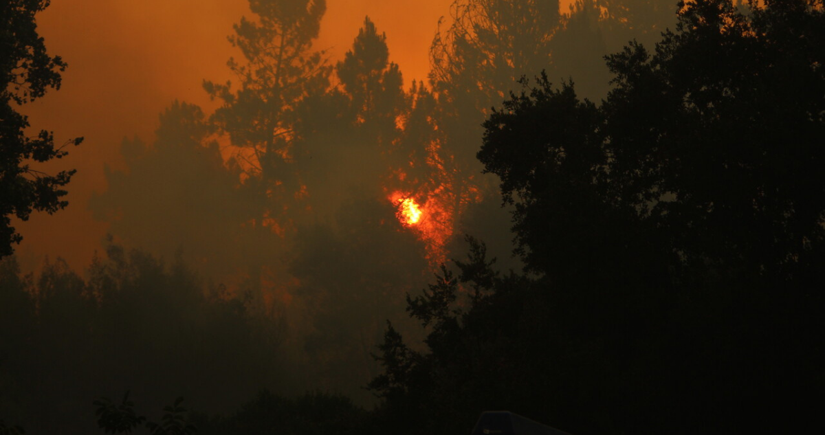 Incendio forestal Quillón.