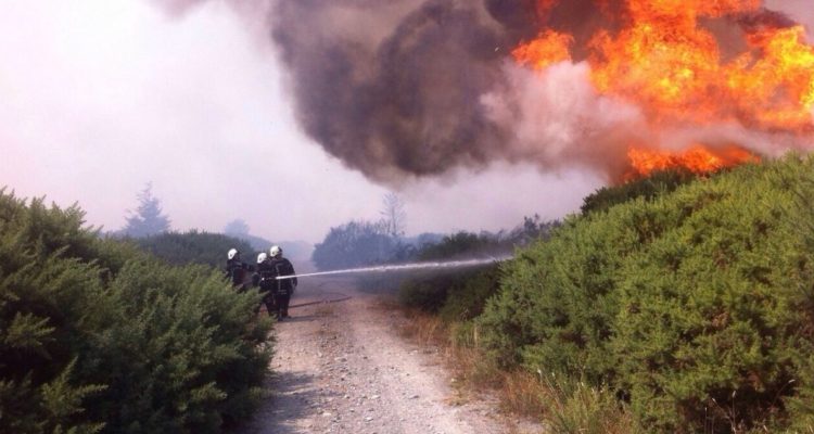 Incendio forestal en Quillón: Onemi declara Alerta Roja