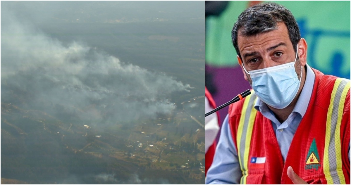 Ministro Delgado por incendio forestal en Quillón