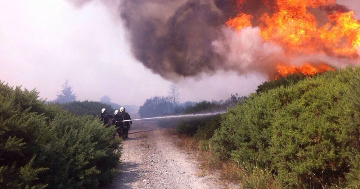 incendio-forestal-quillon.jpg